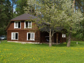 Гостиница Country House Prie Merkio  Авиженеи